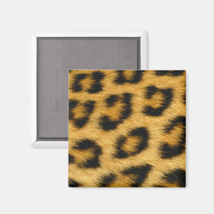 Íman Magneto De Peles Leopardo