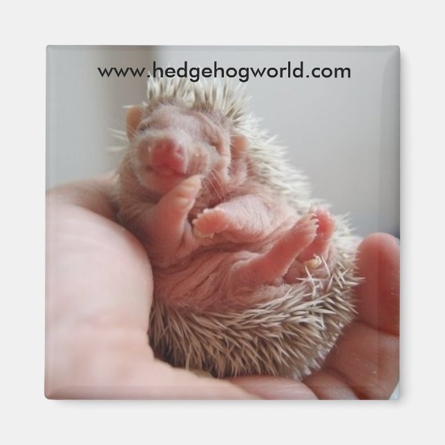 Íman Magneto de pés de bebê (Frente)