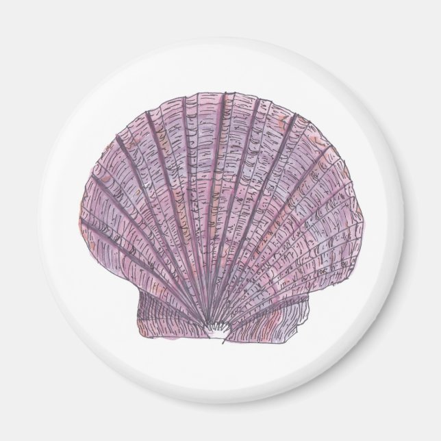 Íman Magneto de Seashell de Aquarela (Frente)