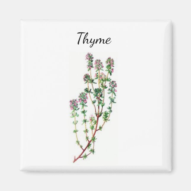 Íman Magneto de Thyme Herb (Frente)