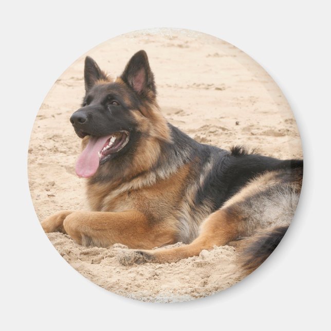 Íman Magneto do Cachorro do German shepherd em repouso (Frente)