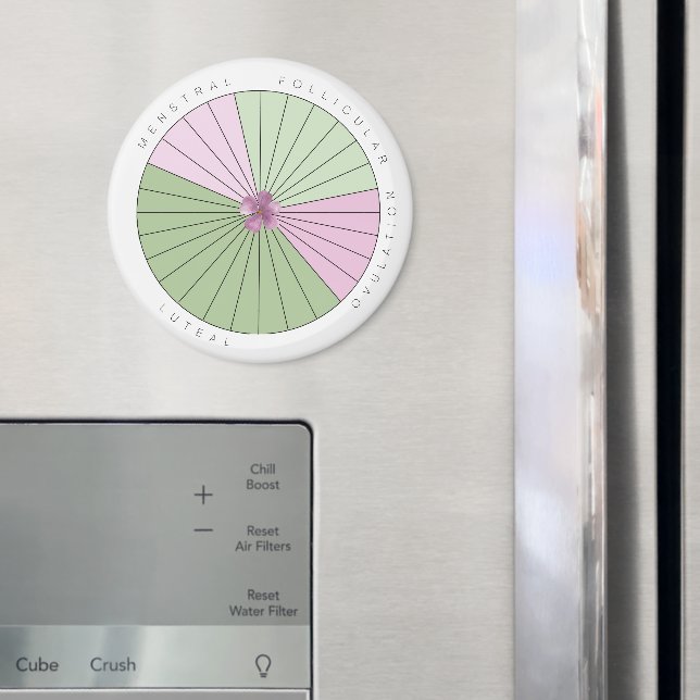 Íman Magneto do Controlador Ciclo de Período (In Situ (Fridge))