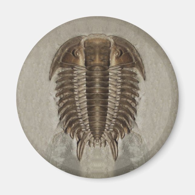 Íman Magneto Fóssil Trilobite (Frente)