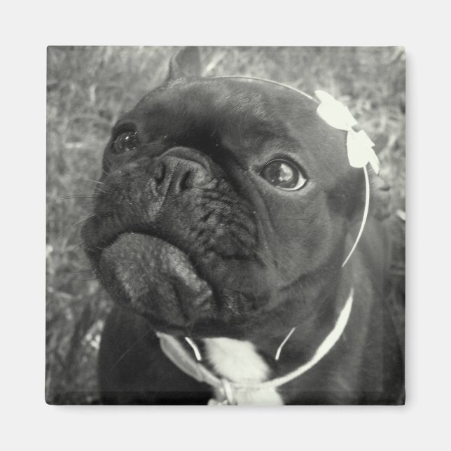 Íman Magneto para Meninas Flores (Frente)