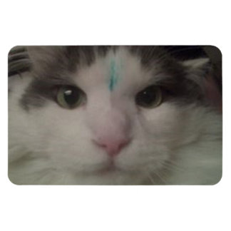 Íman Magneto Personalizado Cosmo 3