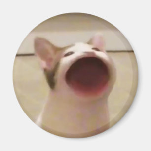 Íman Magneto pop Cat