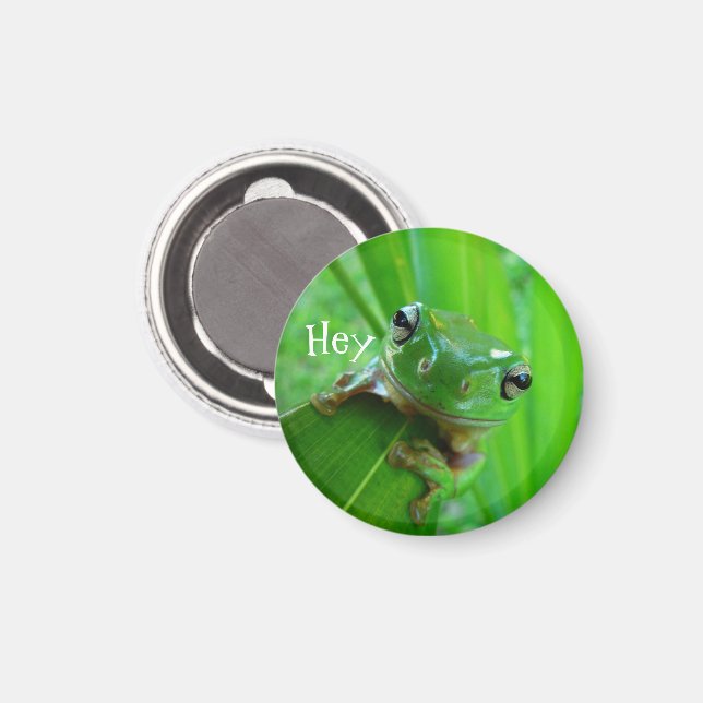 Íman Magneto Sapo verde (Front/Back)