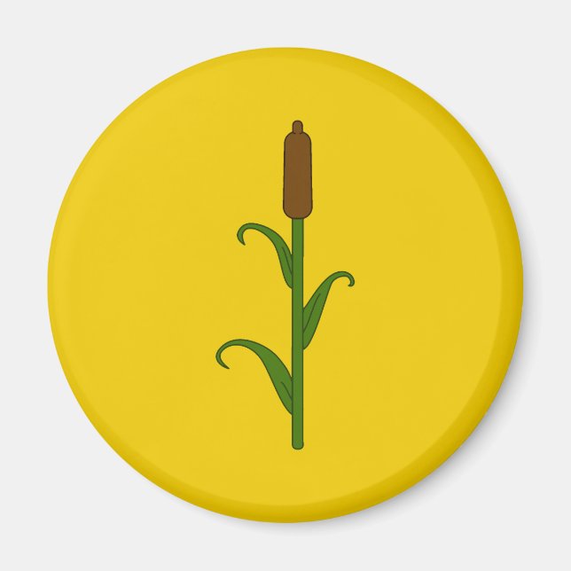 Íman Magneto SCA Rokeclif (Frente)