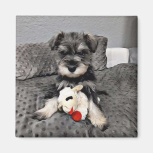 Íman Magneto Schnauzer