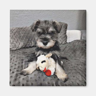 Íman Magneto Schnauzer