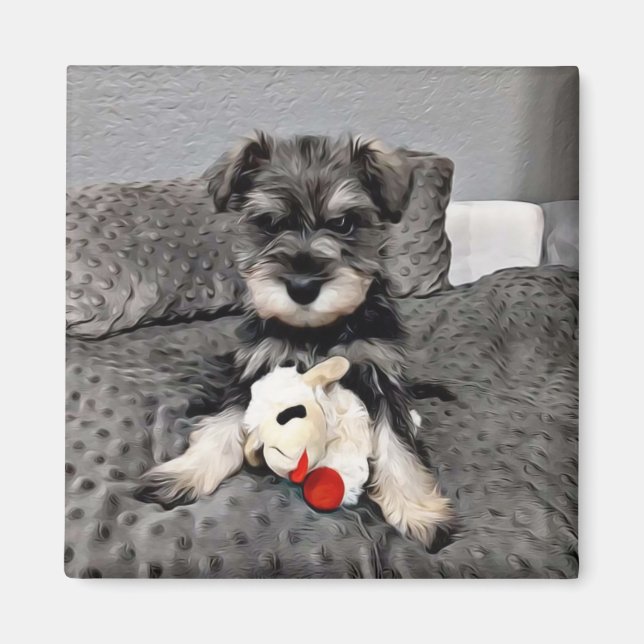 Íman Magneto Schnauzer (Frente)