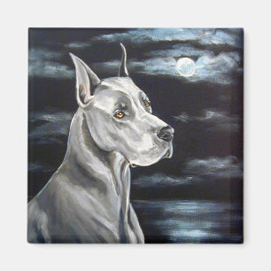 Íman Magnetos Dane - Painel Azul