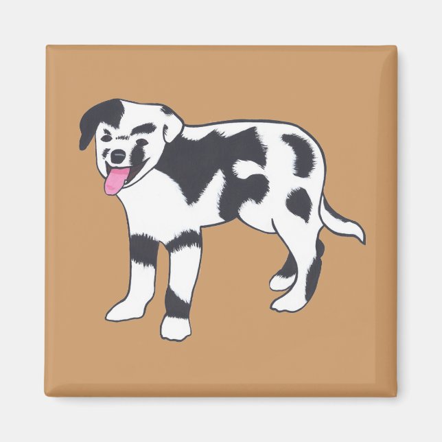 Íman Magnetos de cães de mancha pretos e brancos (Frente)
