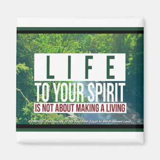 Íman Magnetos de refrigeração para motores