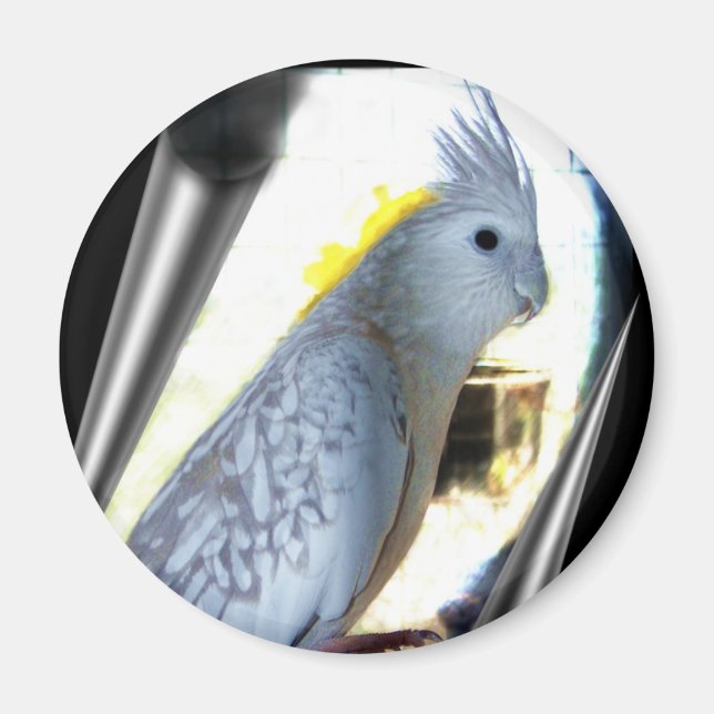 Íman Magnetos de tiel WF (Frente)