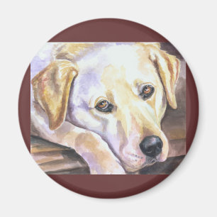 Íman Magnetos Labrador Retriever