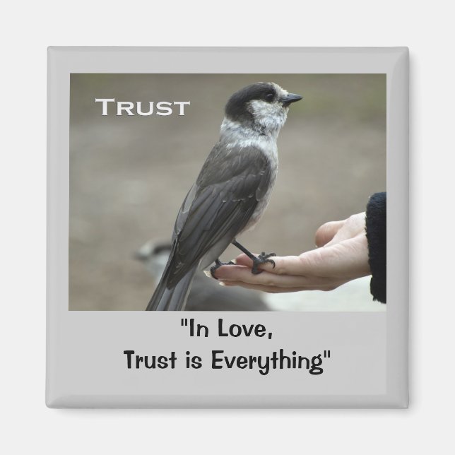 Íman Magnetos Motivacionais da Jay da cinza (Frente)