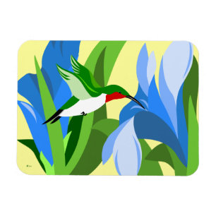 Íman Magnetos retangulares de Hummingbird