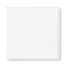 Magnets de Autoridade Simples®