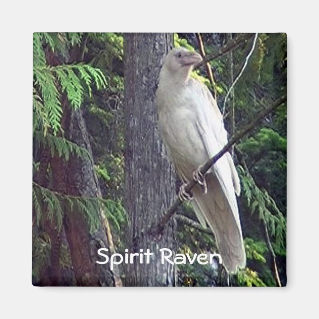 Íman Magnets de Raven Branco (Frente)