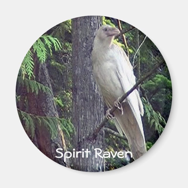 Íman Magnets de Raven Branco (Frente)
