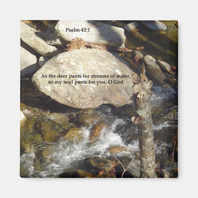 Íman Magnets: Salmo de Fluxo (Frente)