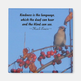 Íman Magnitude de citação de bondade