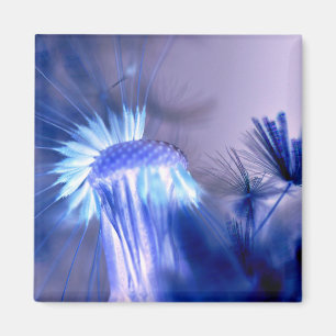 Íman Magnitude Impressão Floral Azul Quadrada