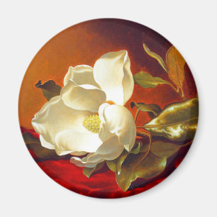 Íman Magnolia em Red Velvet Martin Johnson Heade