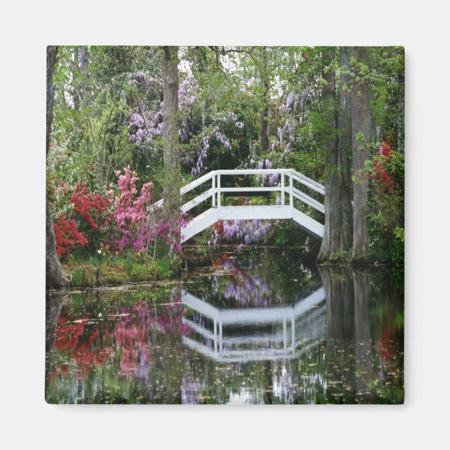 Íman Magnolia Gardens, S.C. (Frente)