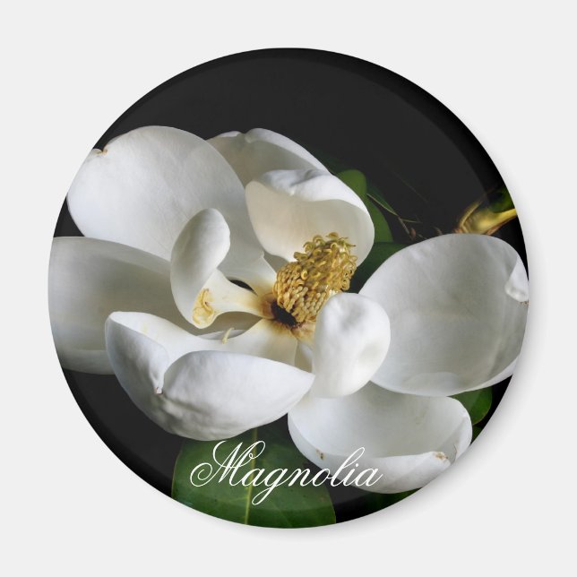 Íman Magnolia Magnet (Frente)