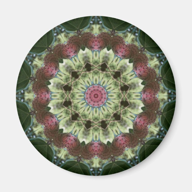Íman Magnolia Seed Pod Mandala (Frente)