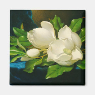 Íman Magnolias gigantes em um caldo de velet azul (Head