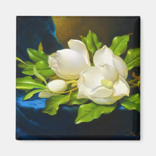 Íman Magnolias gigantes em uma Canvas de veludo azul