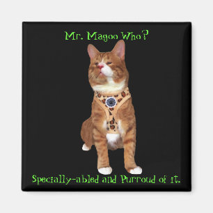 Íman Magoo Magnet, com capacidade especial