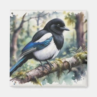 Íman Magpie Magnet