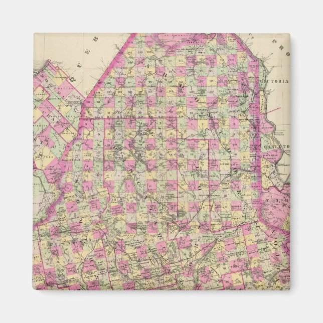 Íman Maine (Frente)