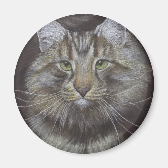 Íman Maine Coon Cat (Frente)