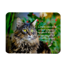 Maine Coon Cat Magnet Inspiracional