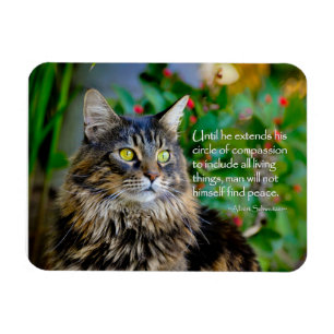 Íman Maine Coon Cat Magnet Inspiracional