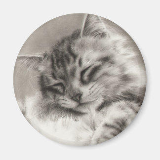 Íman Maine Coon Magnet