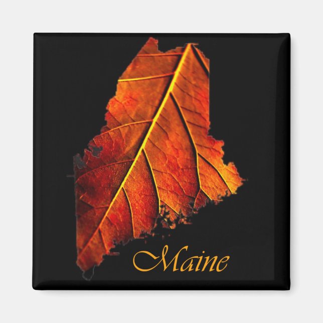 Íman Maine Gift Magnet Souvenir (Frente)