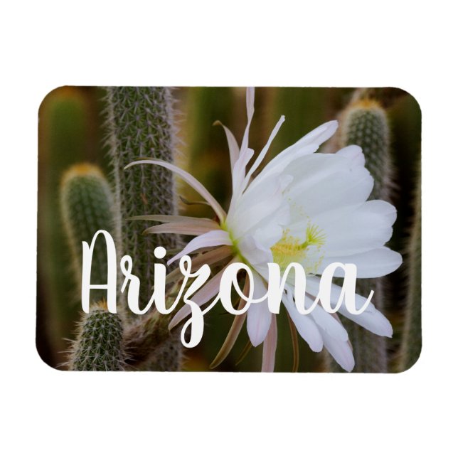 Íman Maio no jardim, Arizona (Horizontal)