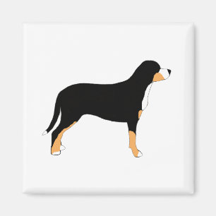 Íman maior silhueta suíça da cor do cão da montanha