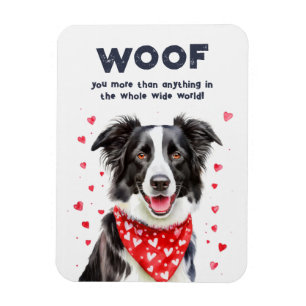 Íman Mais do que Border Collie Heart Bandana