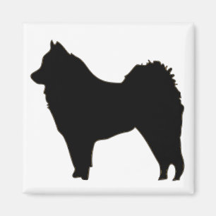 Íman mais eurasier