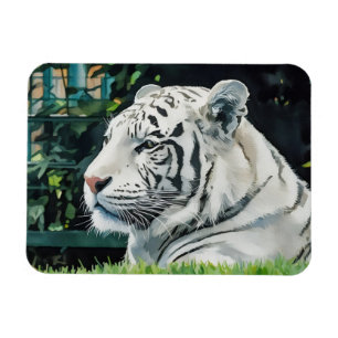 Íman Majestade Branca - Descansar Tiger Wildlife
