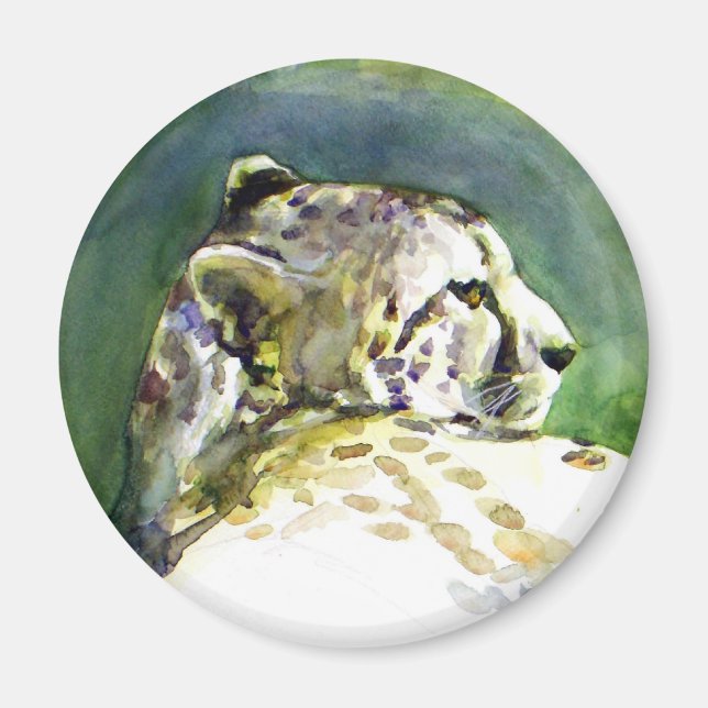 Íman Majexpressa Magnet (Frente)