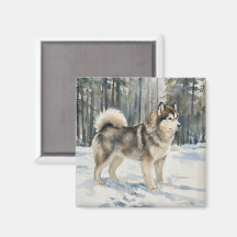 Malamute do Alasca