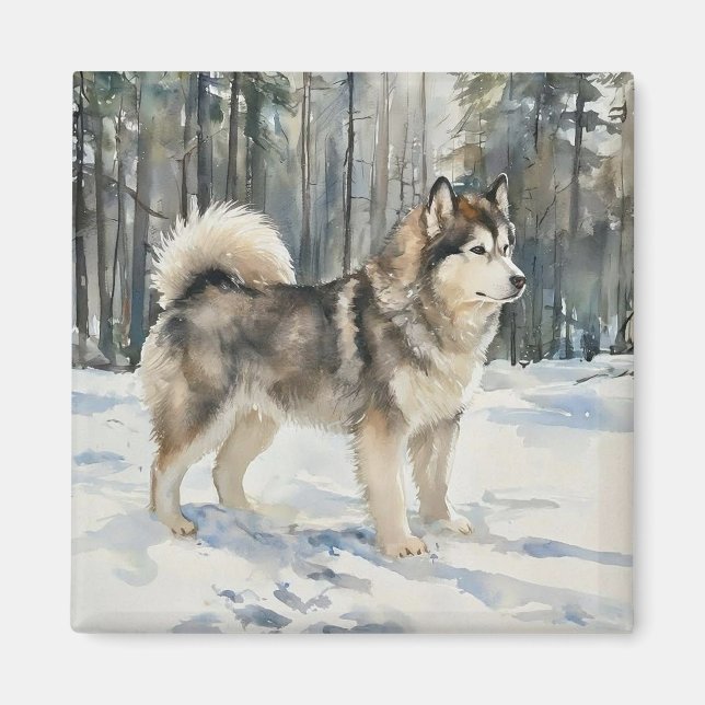 Íman Malamute do Alasca (Frente)